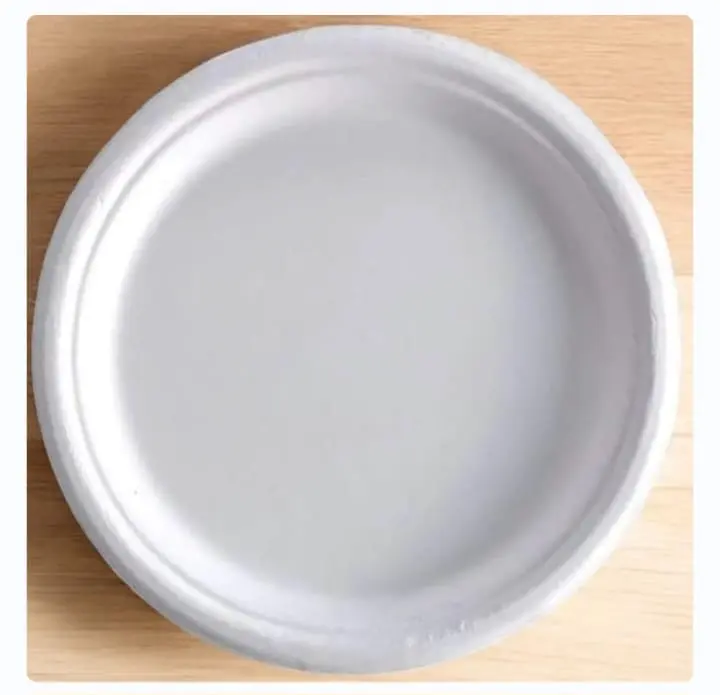 Eco Disposable White 11 Inch Round Plate 